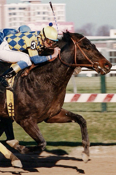 Jockey Andrea Seefeldt, wearing #3, racing on Looming