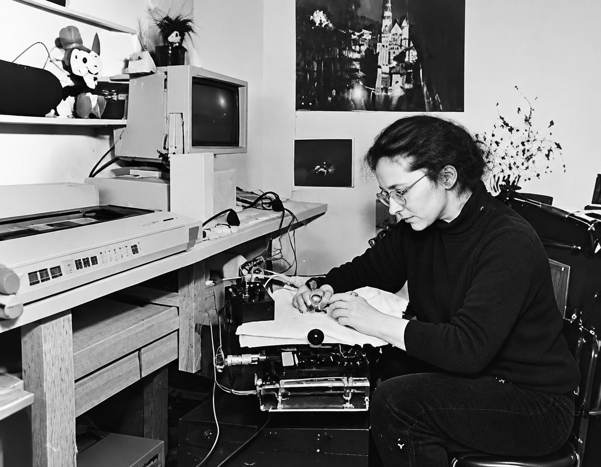 Susan Yim about age 30, working at a computer
